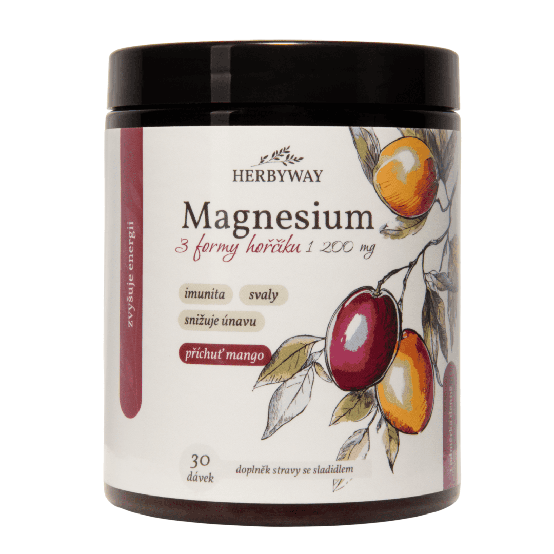 HERBYWAY Magnesium 3 formy hořčíku 1 200 mg 170 g