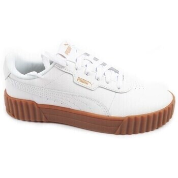 Puma  Carina 3.0  Hnědá
