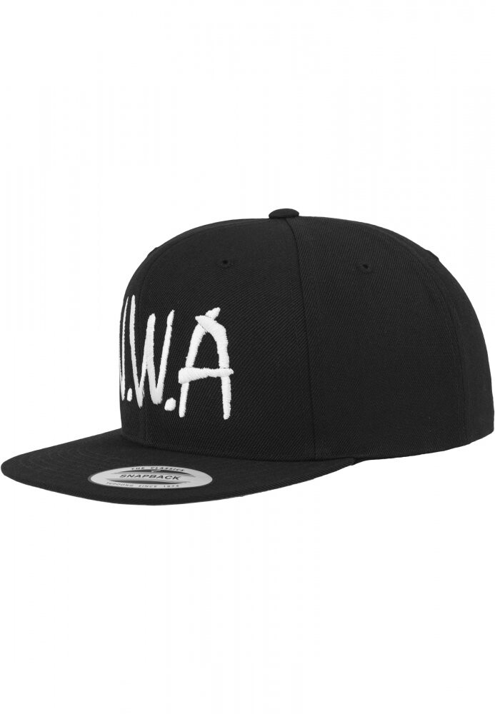 Kšiltovka Mister Tee N.W.A Snapback