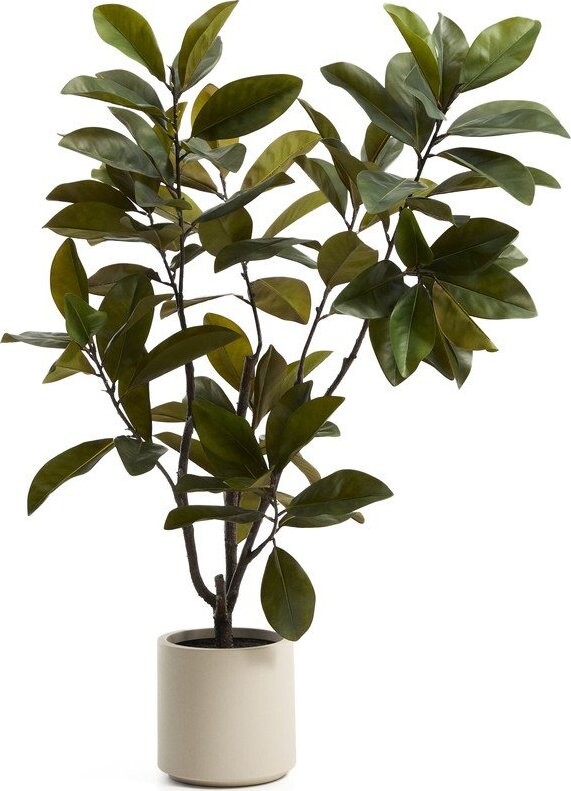 Umělá rostlina (výška 160 cm) Magnolia – Kave Home