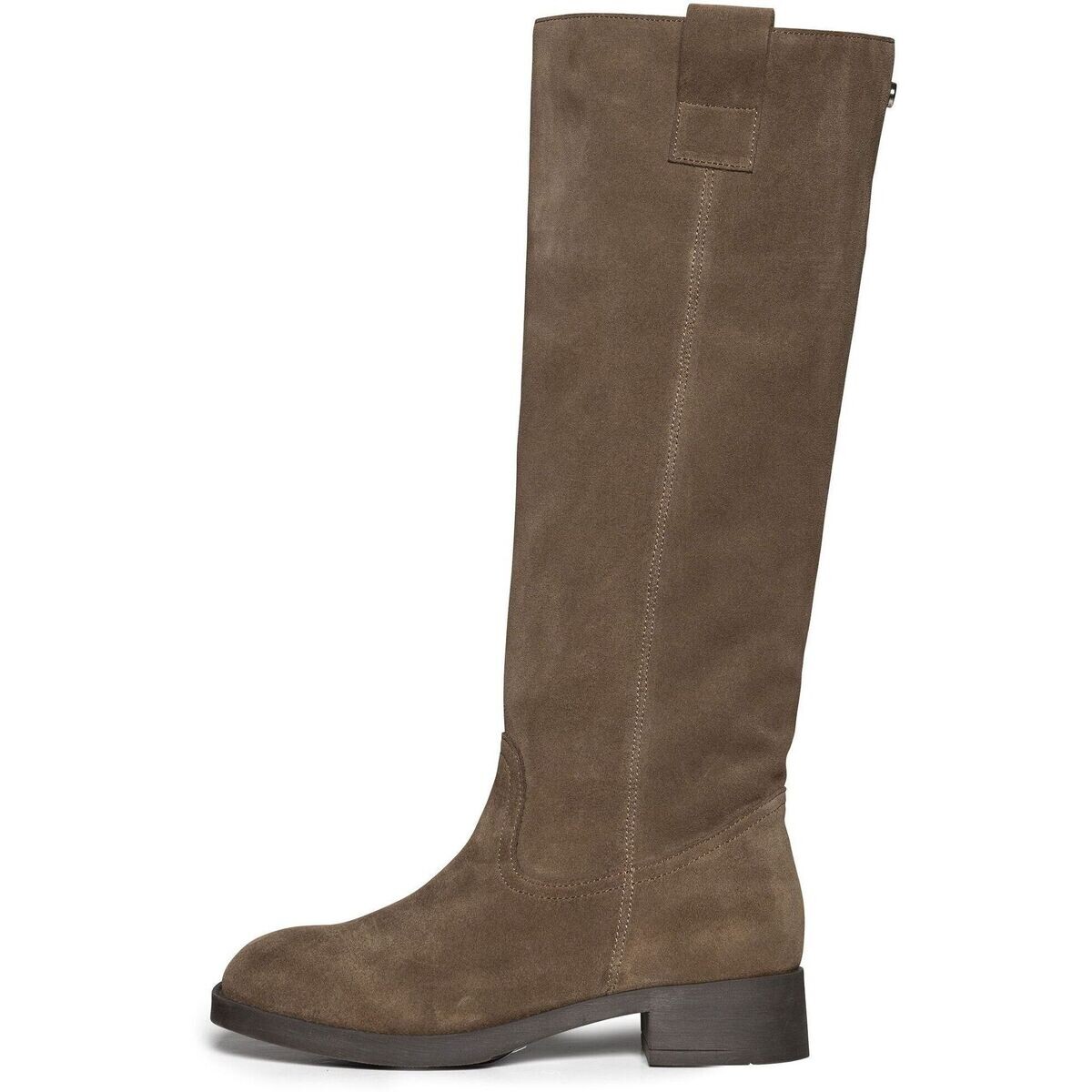 Steve Madden  Stiefel ZOLA  Hnědá