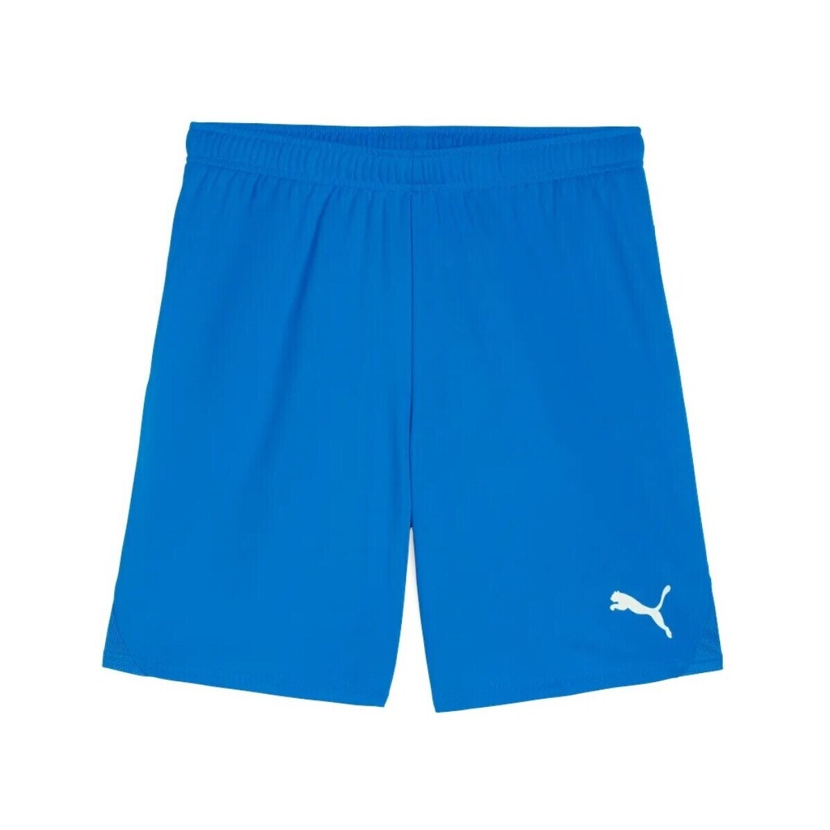 Puma  TeamGOAL  Modrá