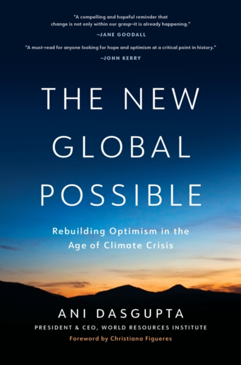 New Global Possible - Ani Dasgupta