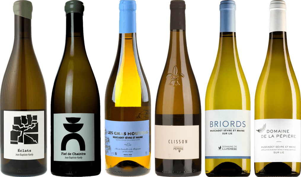 Muscadet Prémiový Degustační Balíček