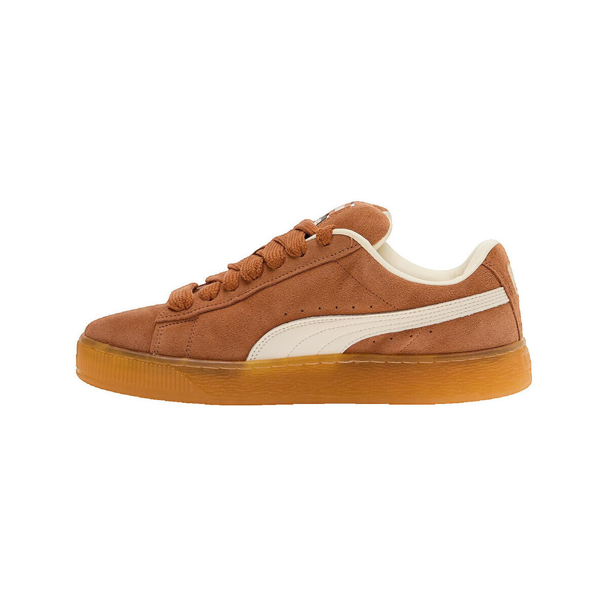 Puma  Baskets  Suede XL daim  Hnědá