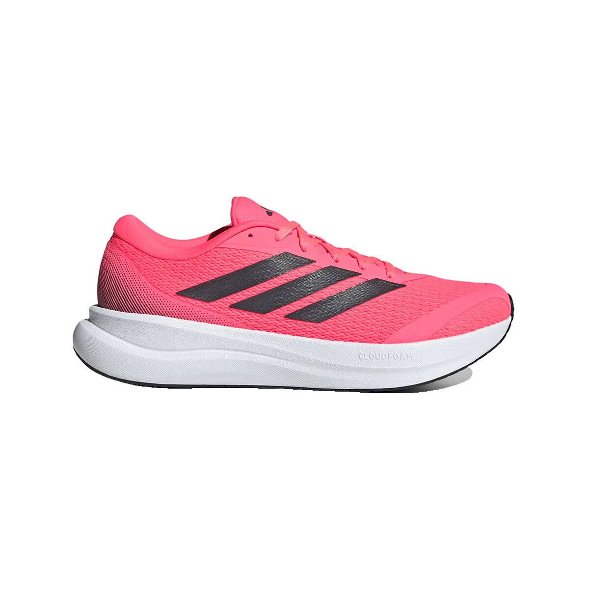 adidas  Chaussures de running  Runfalcon 6 cloudfoam confort
