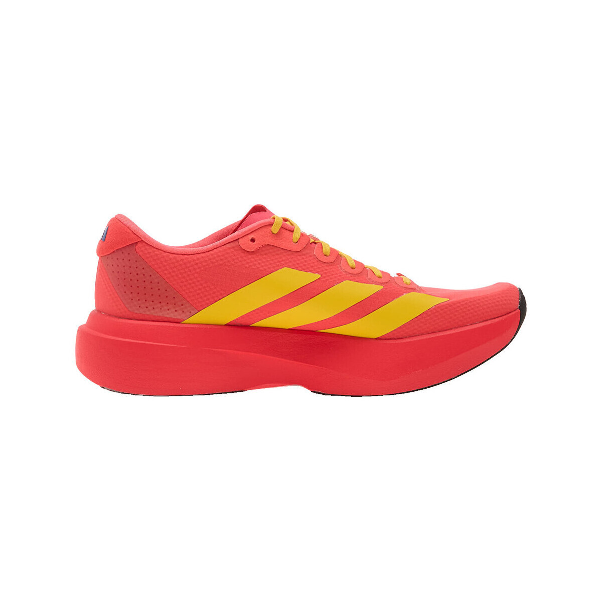 adidas  Chaussures de running  adizero evo sl textile  Červená