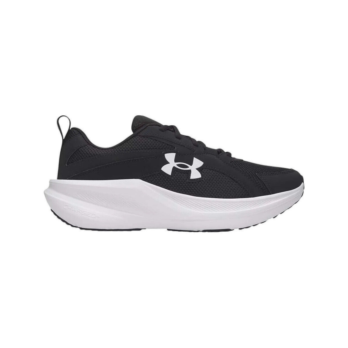 Under Armour  Chaussures de running  Assert 11 amorti Charged+  Černá