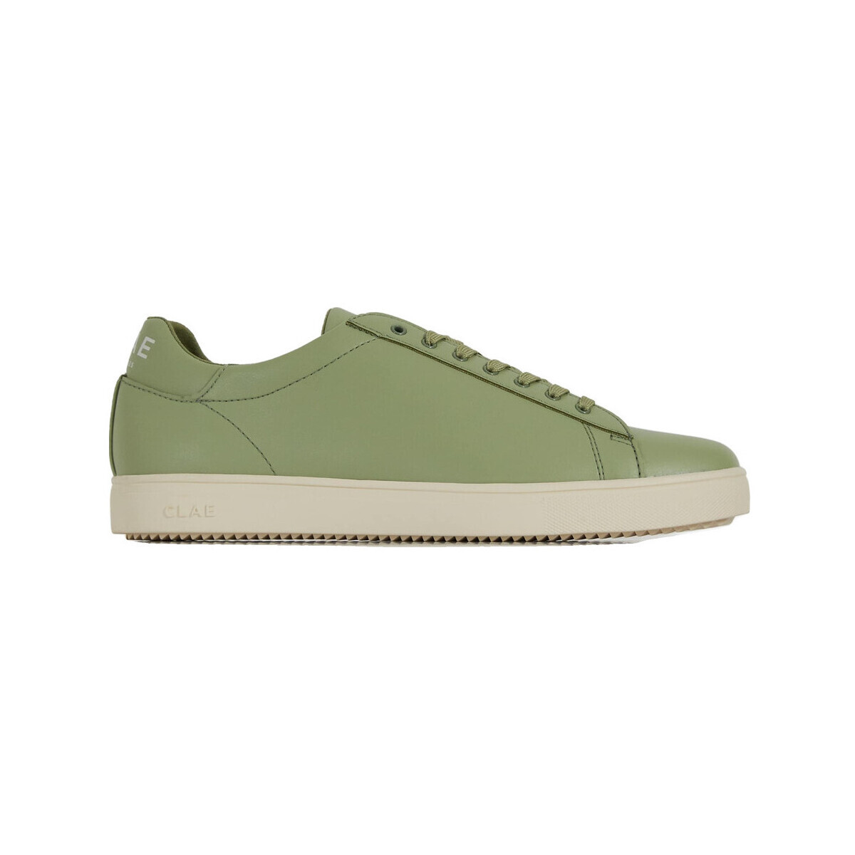 Clae  Baskets  Bradley Cactus cuir  Zelená
