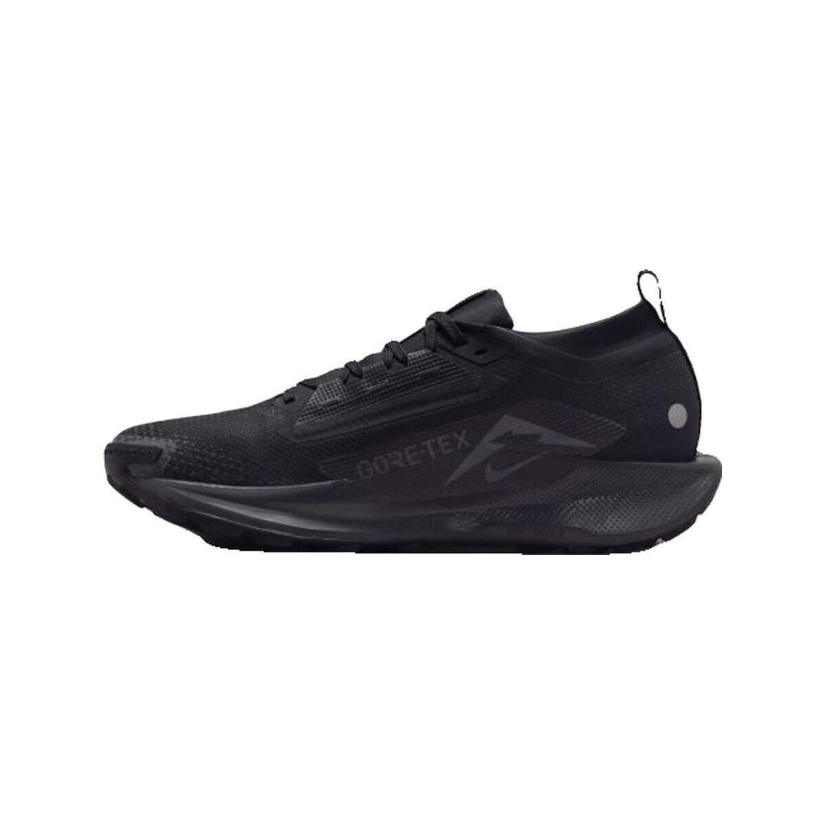Nike  Chaussures de running  pegasus trail 5 imperméables  Černá