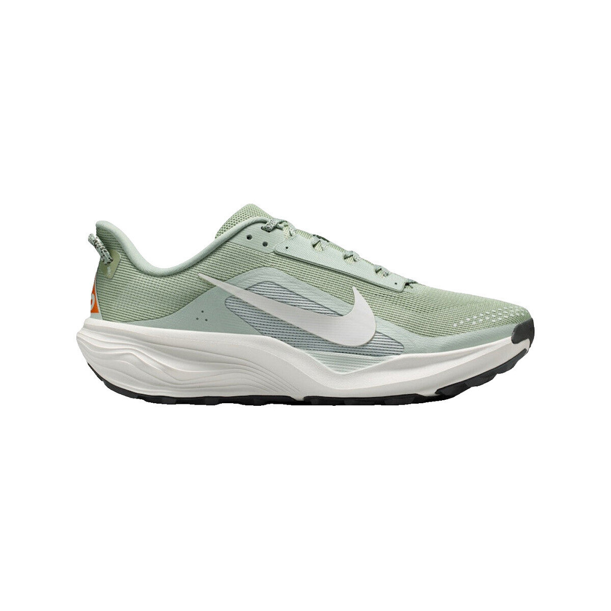 Nike  Chaussures de running  acg pegasus trail maille respirante  Zelená