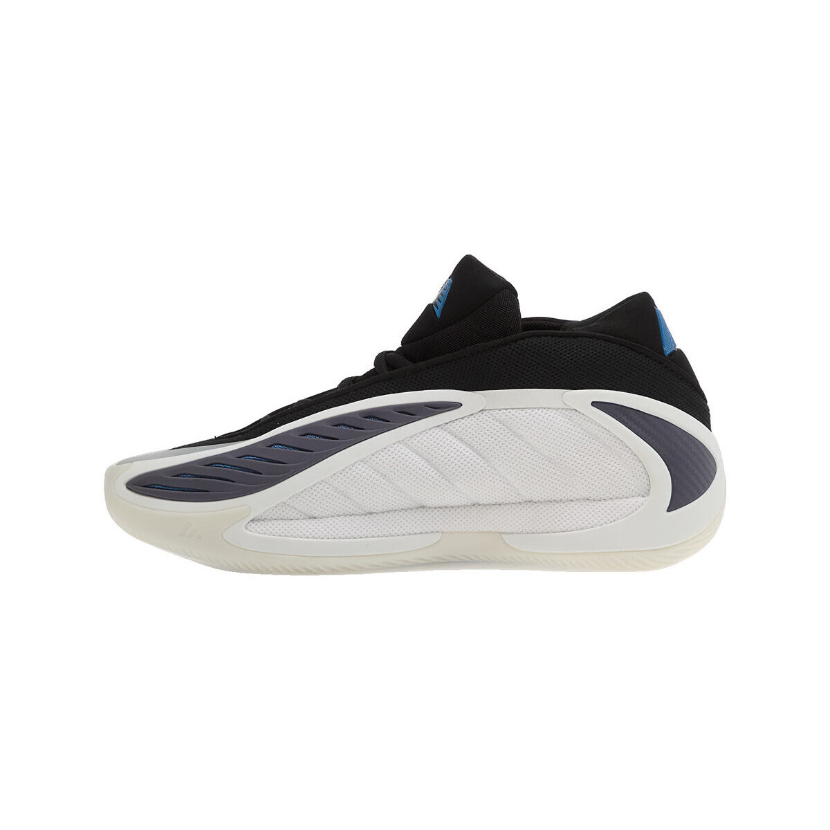 adidas  Baskets  anthony edwards 2 blanc/noir/marron  Černá