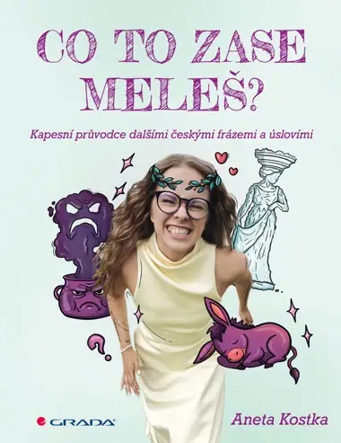 Kniha: Co to zase meleš? od Kostka Aneta