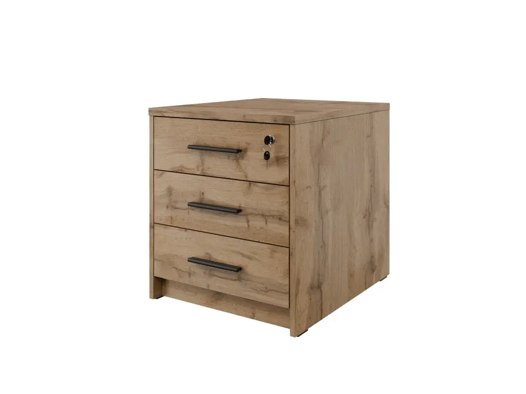 Uzamykatelná komoda pod tiskárnu NEJBY GIANNI, hloubka 60 cm, dub wotan
