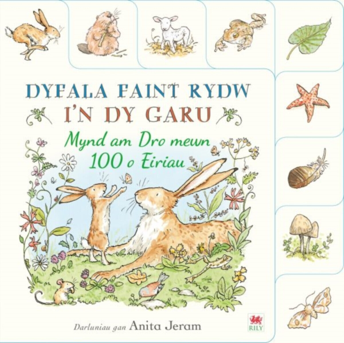 Dyfala Faint Rydw i''n dy Garu: Mynd am Dro mewn 100 o Eiriau - Walker Books