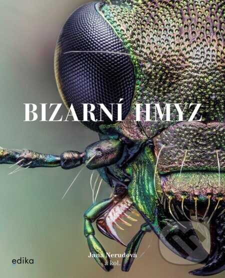 Bizarní hmyz - Miroslav Ambroz, Procházka Jiří