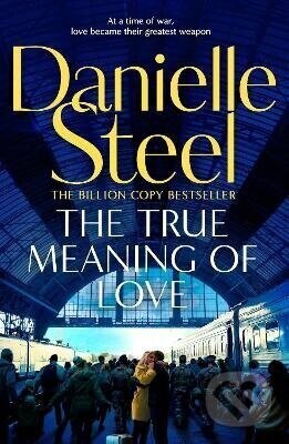 The True Meaning of Love - Danielle Steel