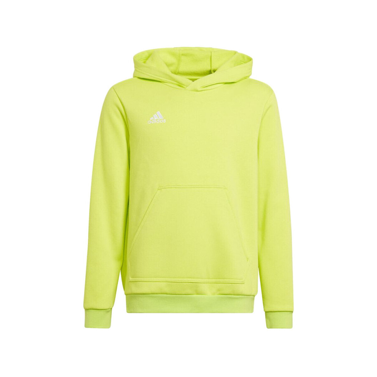 adidas  Sweat  entrada 22 vert lime  Zelená