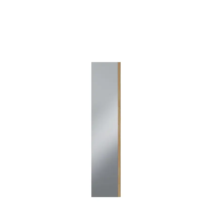 Dveře skříně se zrcadlem Moduklix 226,9x49,4 dub Mauvella