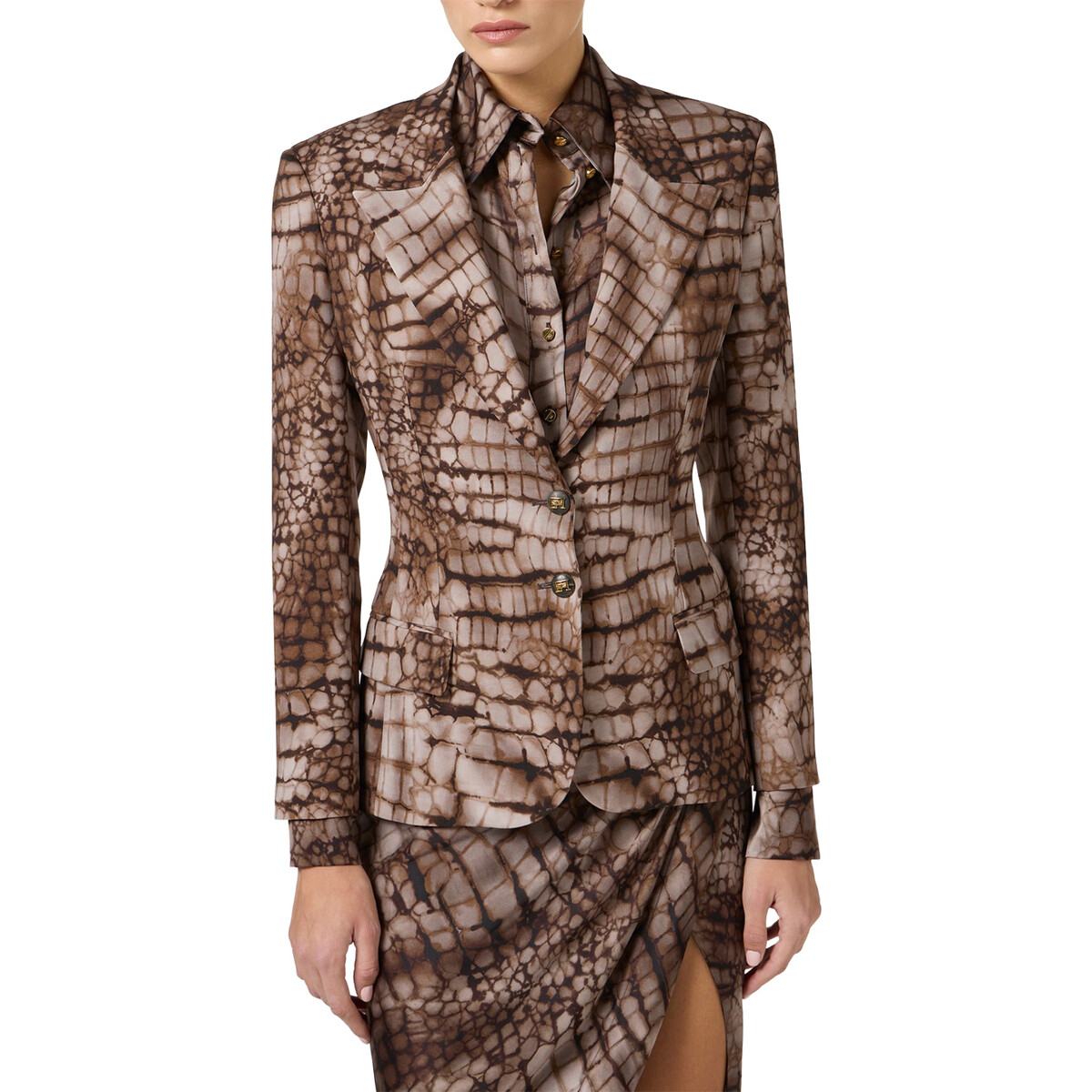 Elisabetta Franchi  gi20761e2-644  ruznobarevne