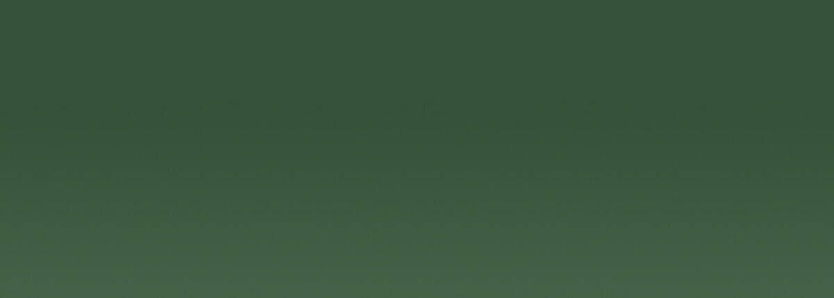 Acrylic EF 37 ml /2 - 221 Hooker's green