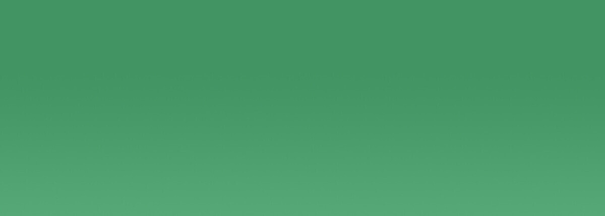 Acrylic EF 37 ml /2 - 220 Veronese green