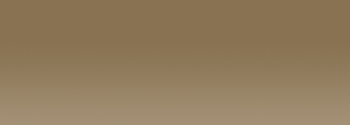 Acrylic EF 37 ml /3 - 354 Bronze