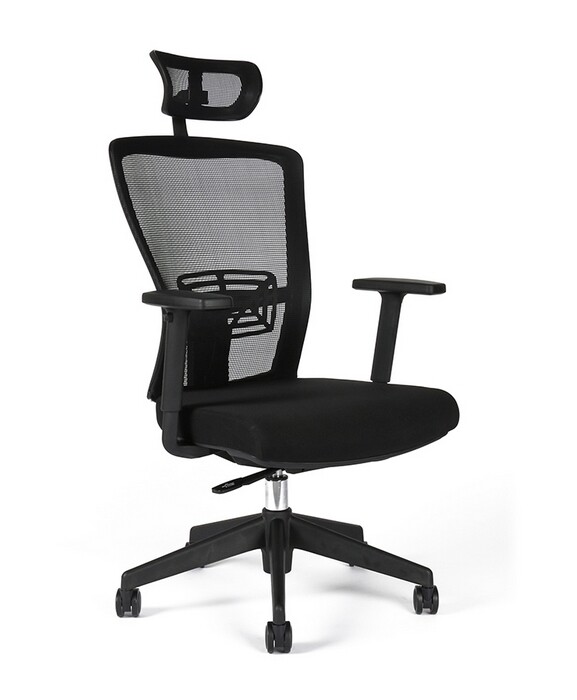Office Pro Themis SP