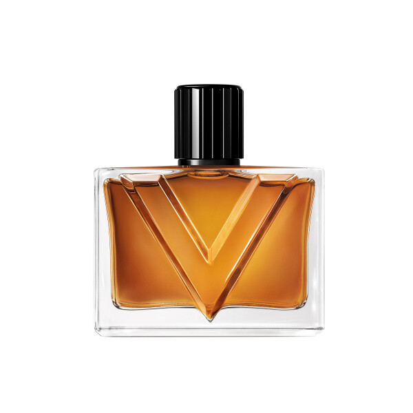 Valentino Vendetta Uomo parfémová voda pánská 90 ml