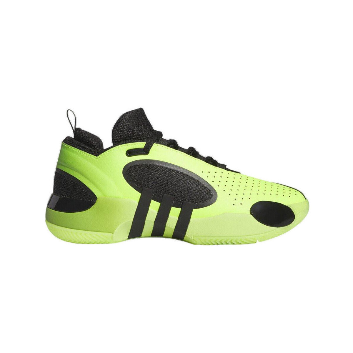 adidas  Baskets  D.O.N. Issue 5 léger  ruznobarevne