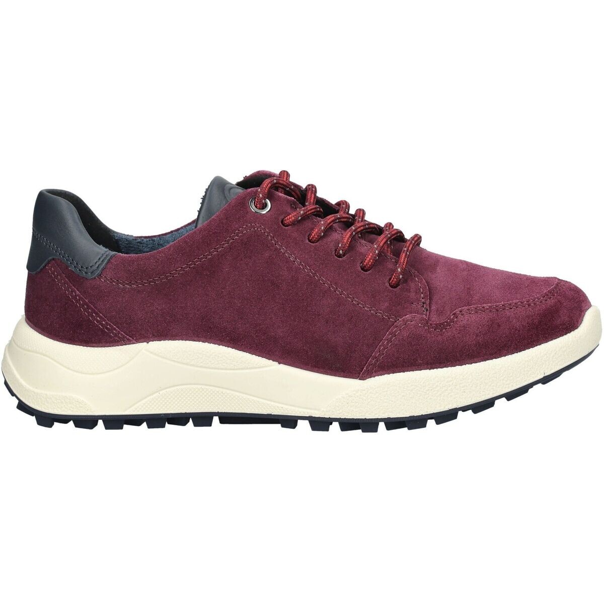 Ara  Sneaker BERGEN  Bordó