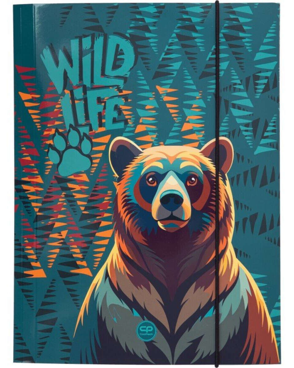 Kartonová složka s gumičkou A4 Coolpack Bear
