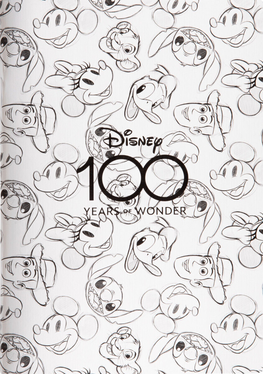 Sešit A5 60 l. linkovaný Disney 100 vzor 3