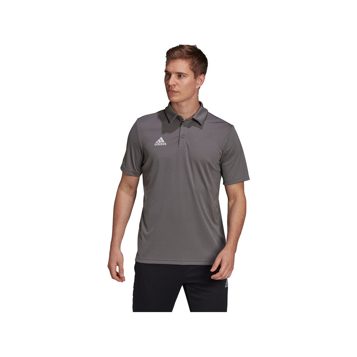 adidas  Polo  Entrada 22 coton  Šedá