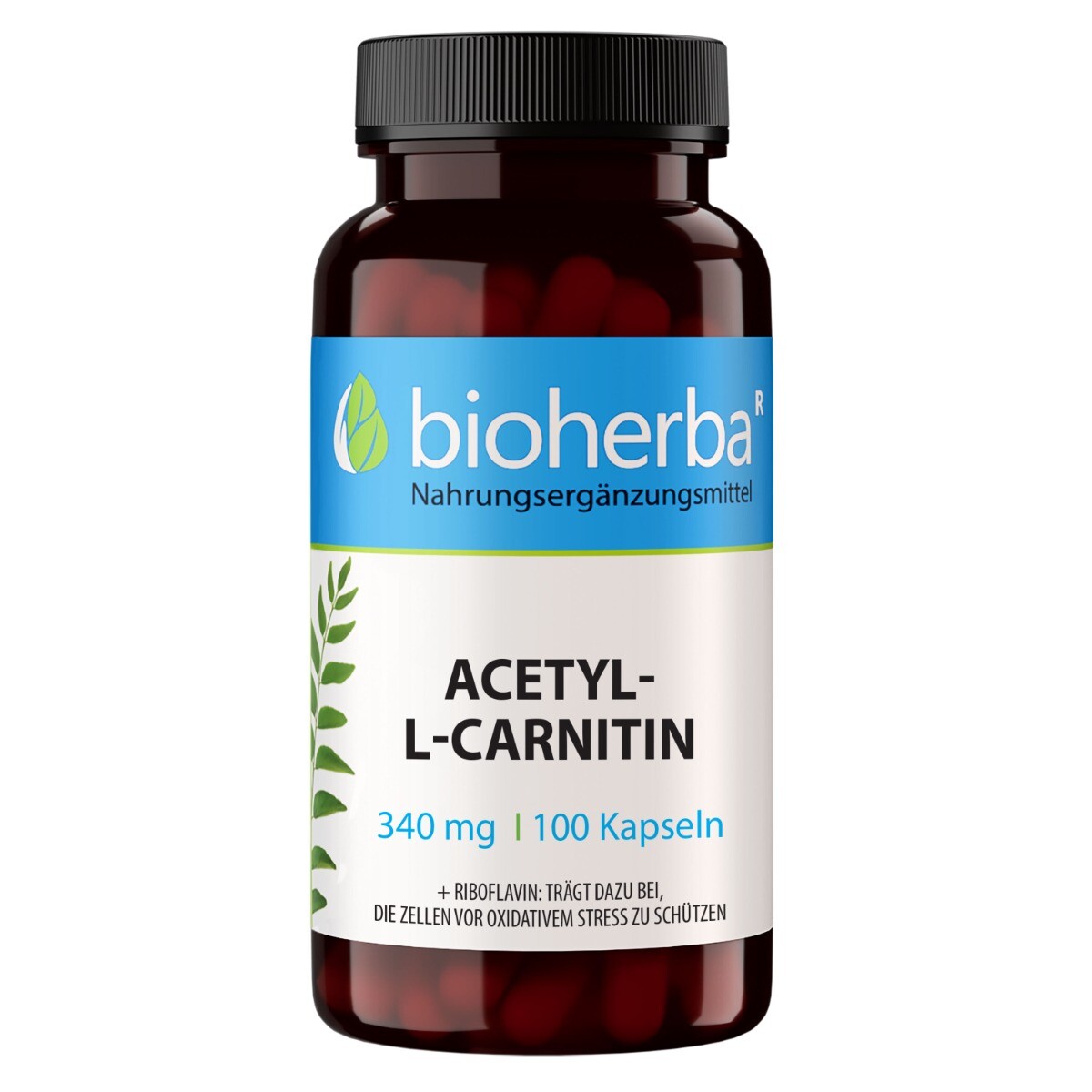 Acetyl-L-karnitin 340 mg – 100 kapslí – Bioherba