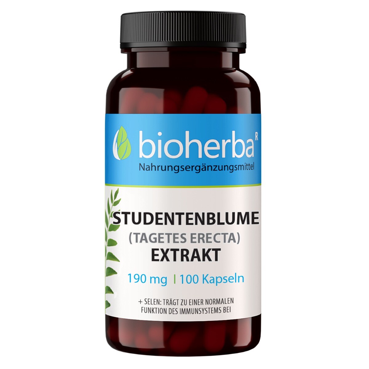 Aksamitník extrakt 190 mg – 100 kapslí – Bioherba