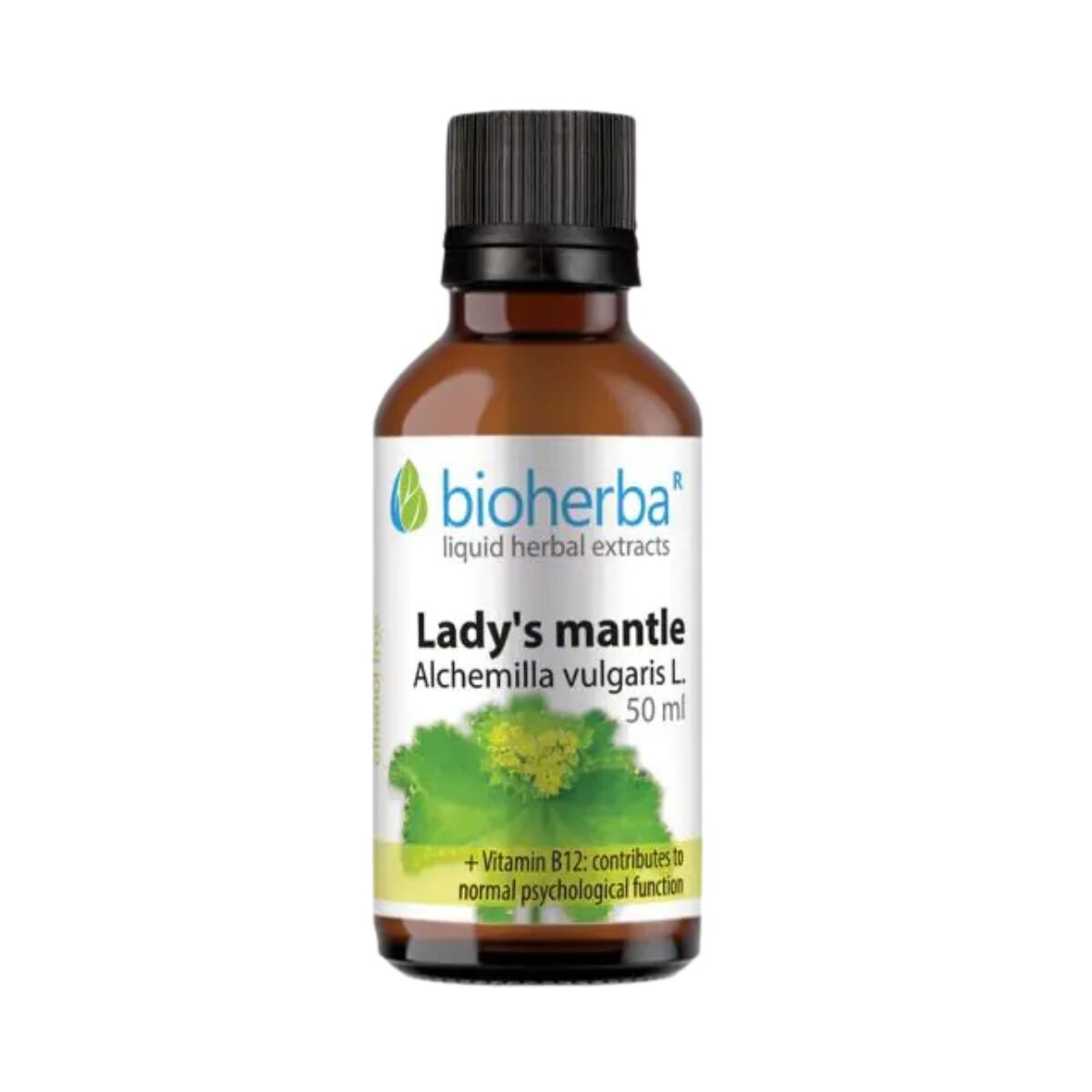 Alchemilka – tinktura kapky – 50 ml – Bioherba