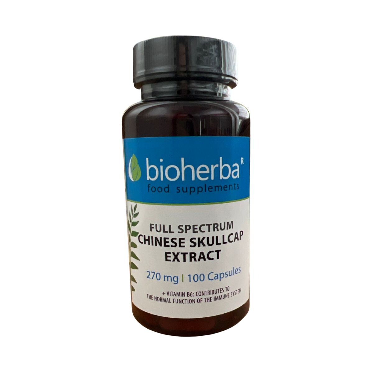 Bajkalský šišák extrakt 270 mg – 100 kapslí – Bioherba