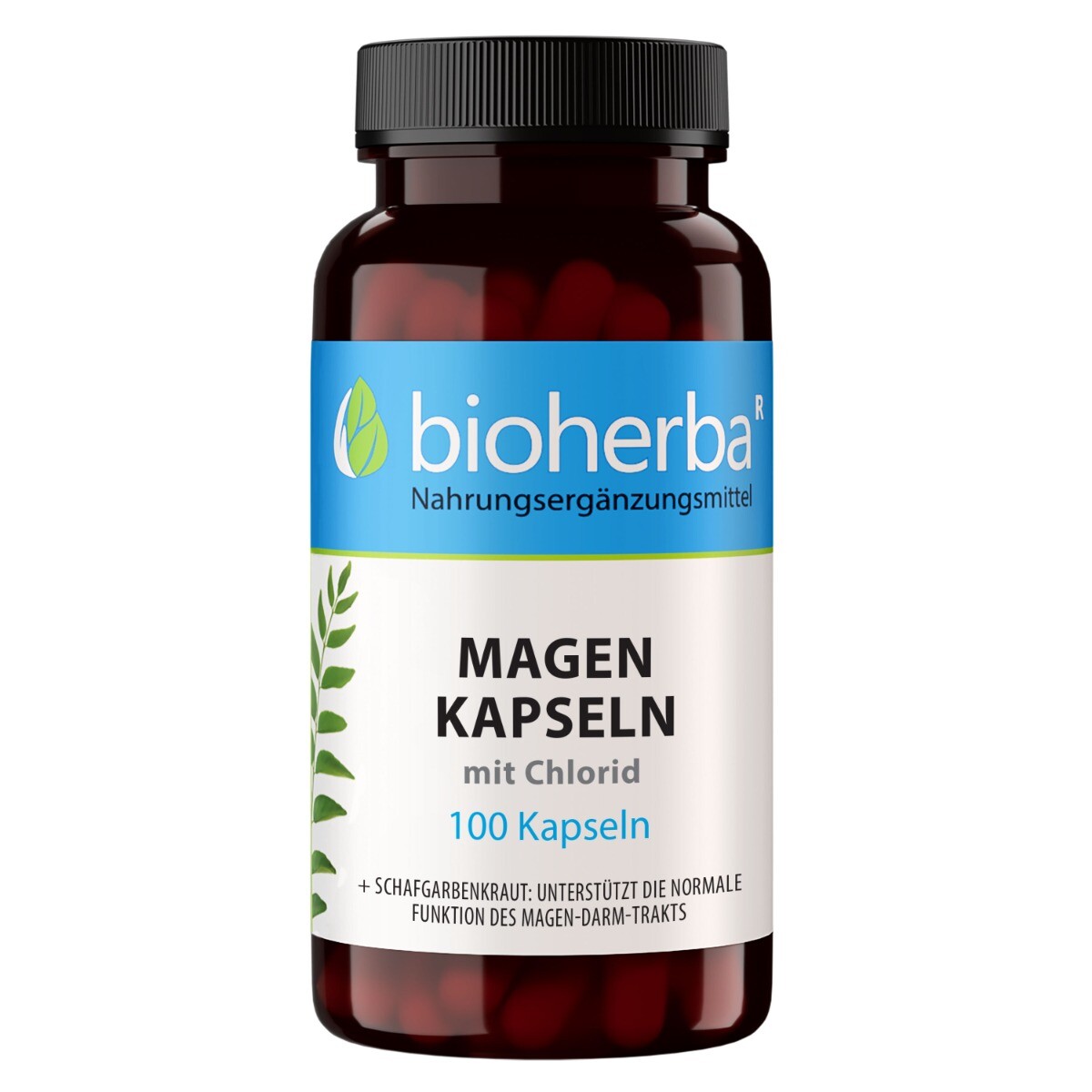Žaludek – 100 kapslí – Bioherba