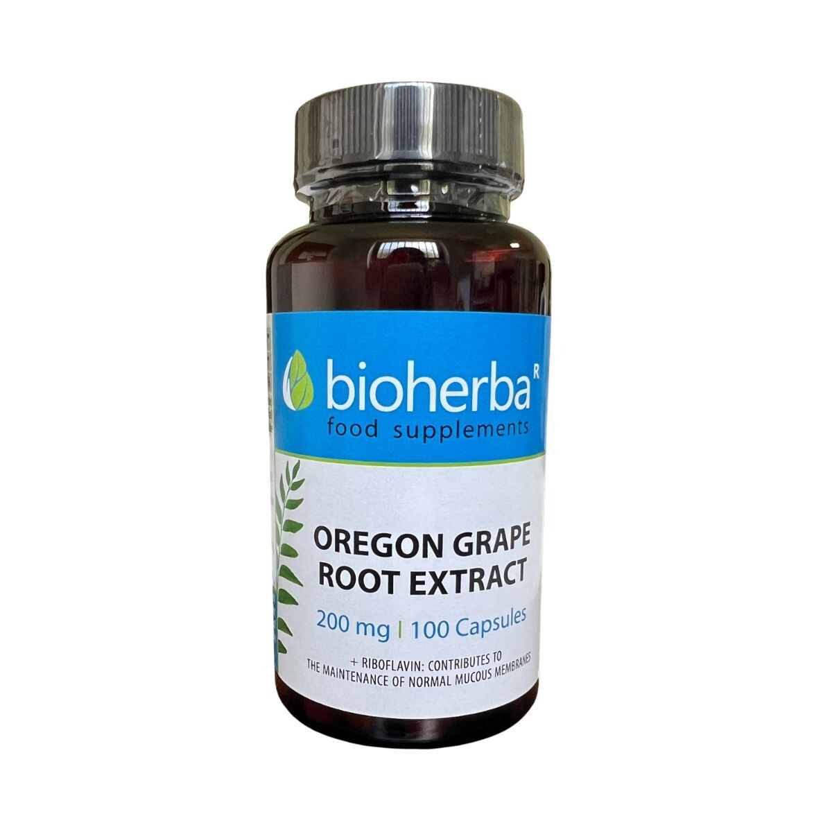 Mahónie cesmínolistá – 100 kapslí – Bioherba