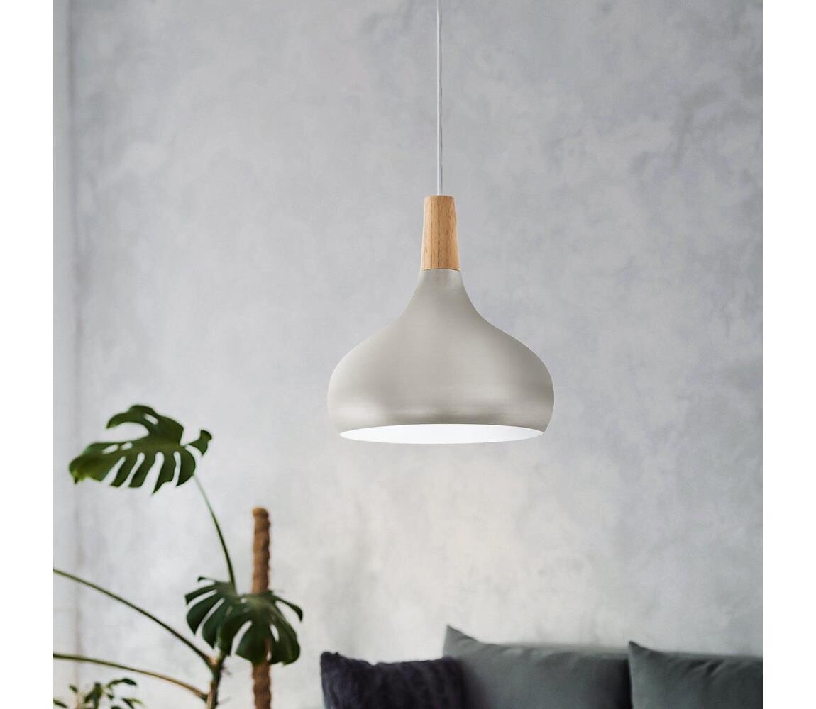 Eglo 96985 - Závěsné svítidlo SABINAR 1xE27/60W/230V pr. 28 cm stříbrná 96985