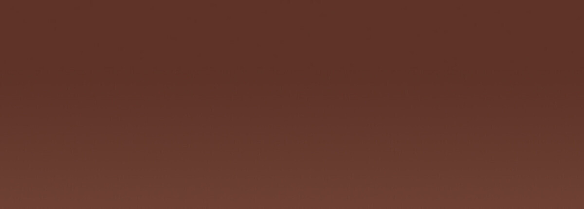 Acrylic EF 37 ml /1 - 113 Burnt sienna