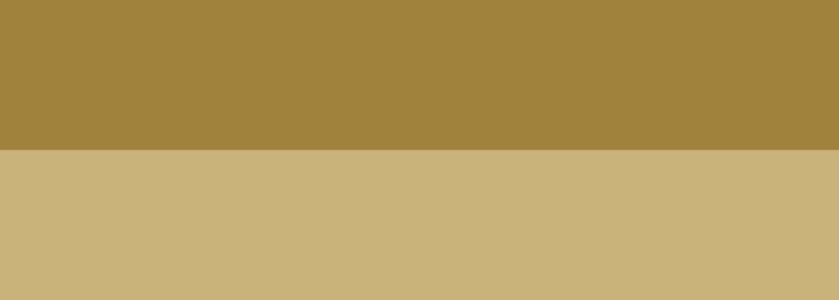 Akryl Abstract S 500 ml 208 Raw sienna