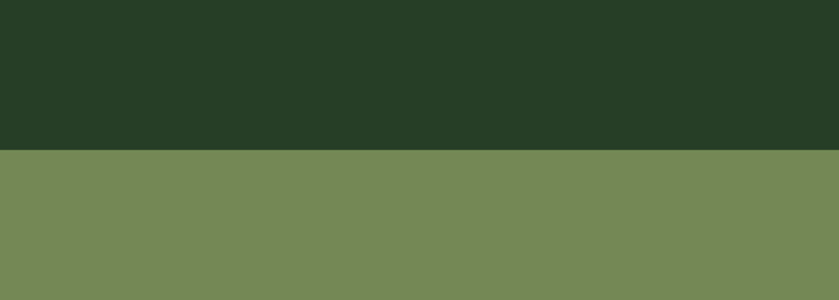 Akryl Abstract S 500 ml 809 Hooker's green