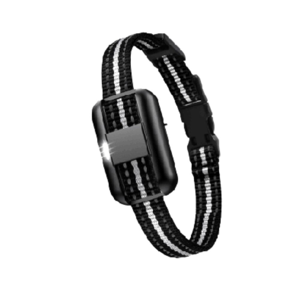 Obojek a přijímač výcvikového obojku Pethey T504 | P52971