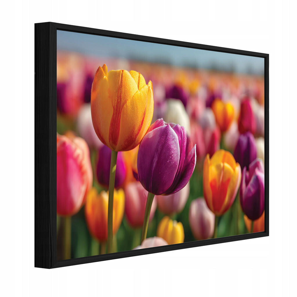 Wallarena ZARÁMOVANÉ obrazy květin tulipánů barevné 100x70 cm