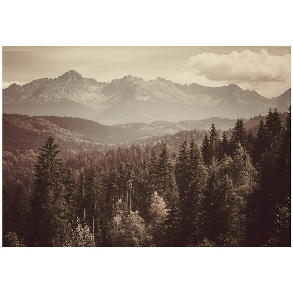 Wallarena FOTOTAPETA Les Příroda Hnědá 200x140 cm