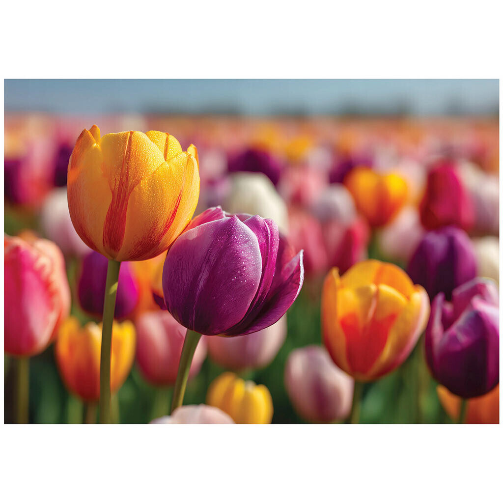 Wallarena FOTOTAPETA Květiny Tulipány Barevné 400x280 cm