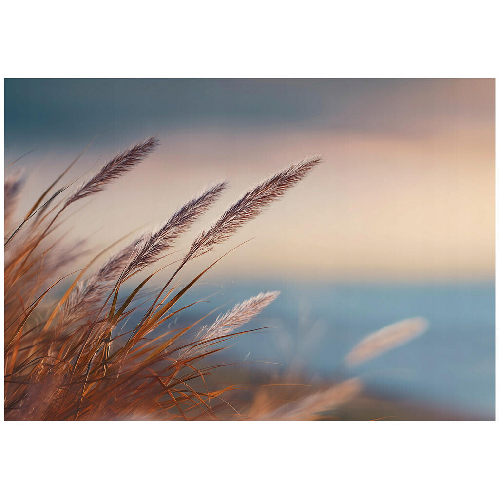 Wallarena FOTOTAPETA tráva příroda béžová 200x140 cm