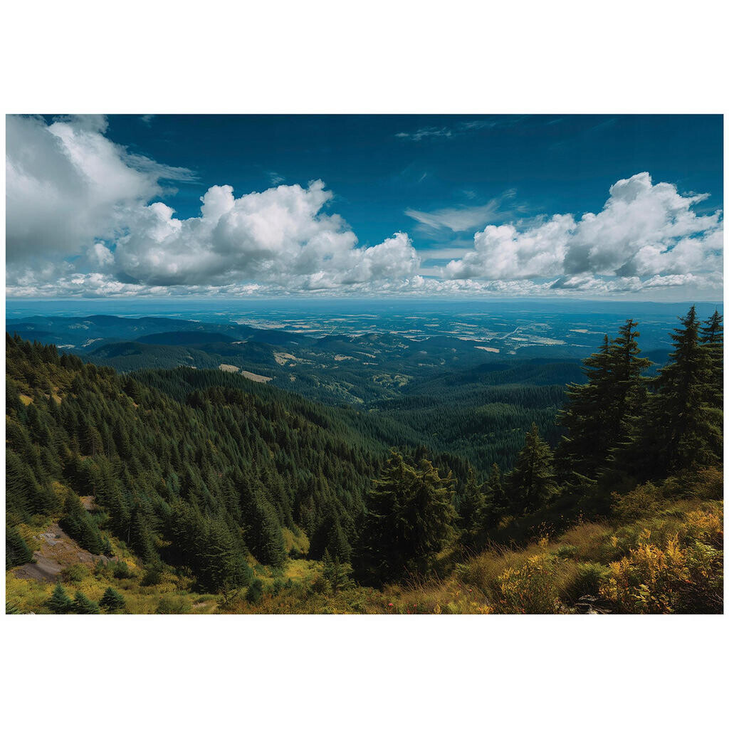 Wallarena FOTOTAPETA krajina les modrá 400x280 cm